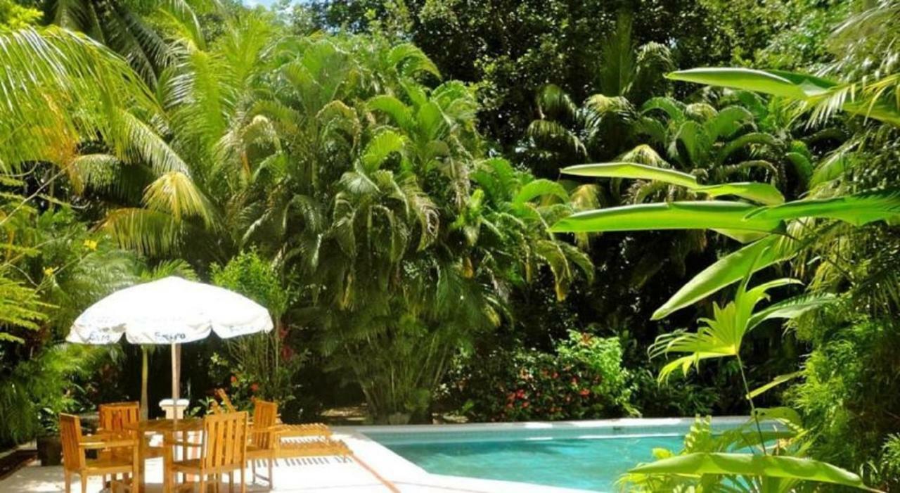 Hotel Roca Verde Beachfront Puntarenas Exteriér fotografie